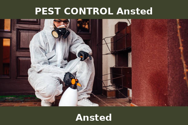 PEST CONTROL Ansted